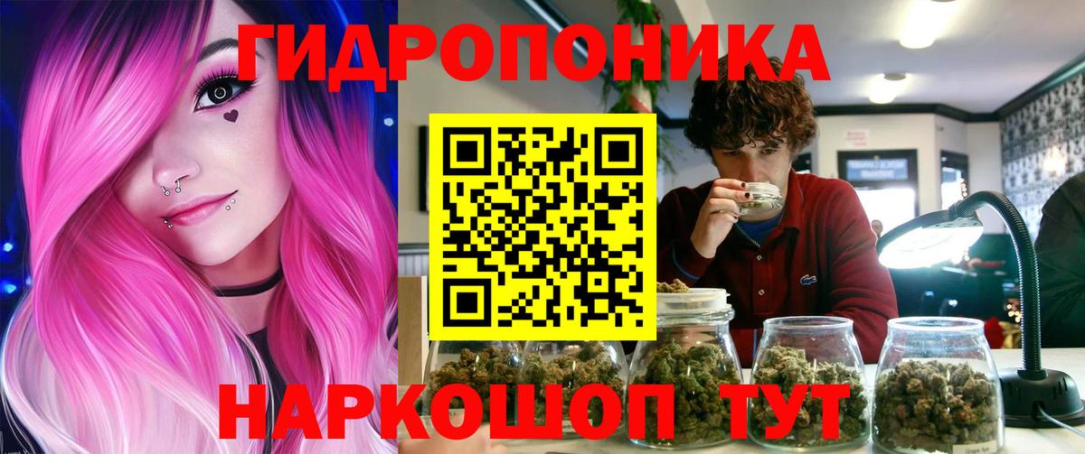 Канабис планчик  Вход с VPN  Бошки марихуана планчик  Томск  Канабис ГИДРОПОН 